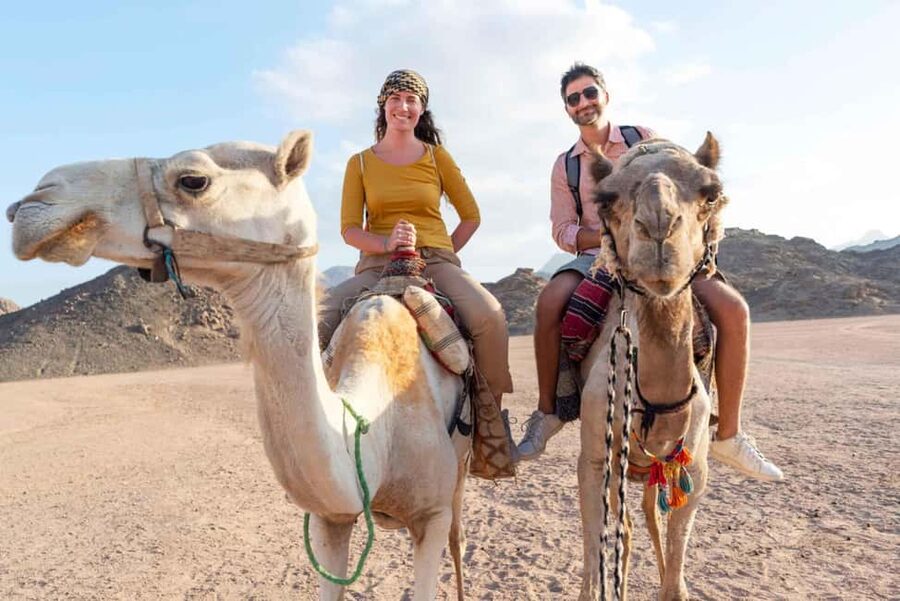 Agadir/Taghazout: Camel Rides with Tea Drink and Transfers - Mint tea, biscuits, and a quiet finish