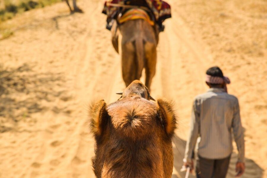 Agadir/Taghazout: Camel Rides with Tea Drink and Transfers - How much value do you get for $22?