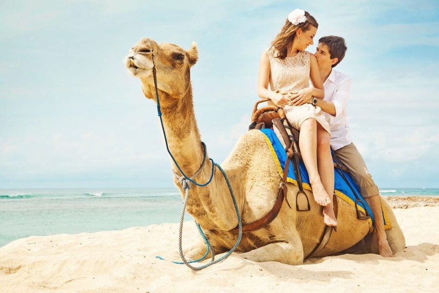 Agadir/Taghazout: Camel Rides with Tea Drink and Transfers - Who should book this camel ride?