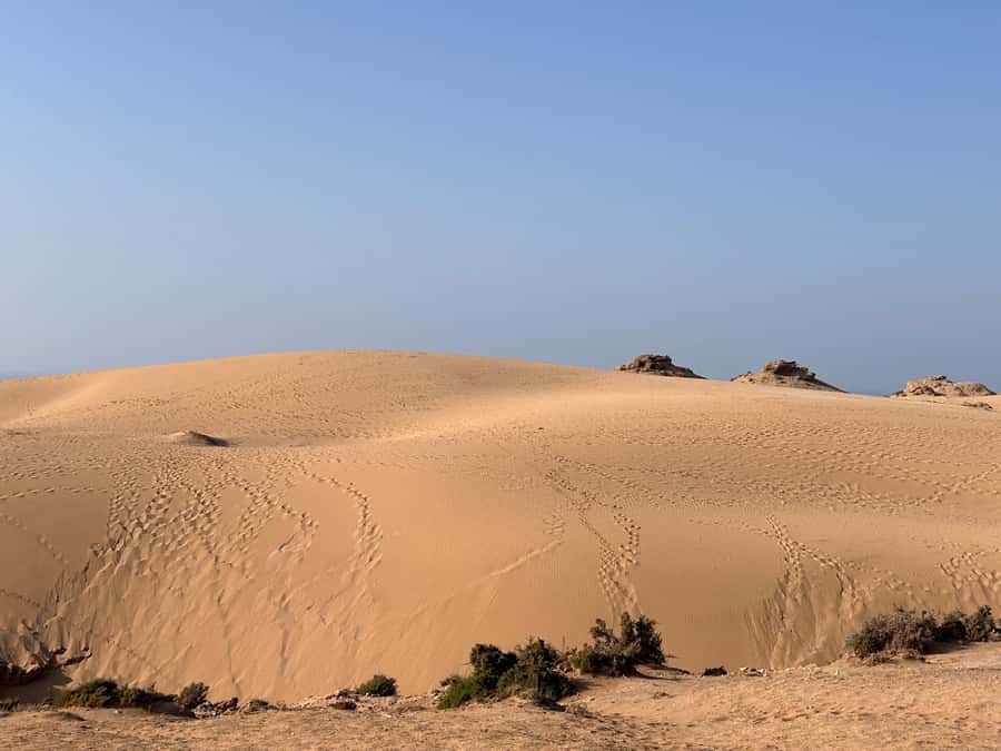 Agadir: Taghazout, Colorful village & Timlaline Desert Trip - Key points at a glance