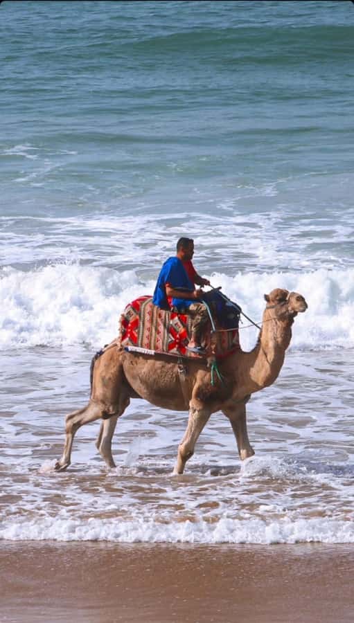 Agadir: Taghazout, Colorful village & Timlaline Desert Trip - The guide can shape the whole day
