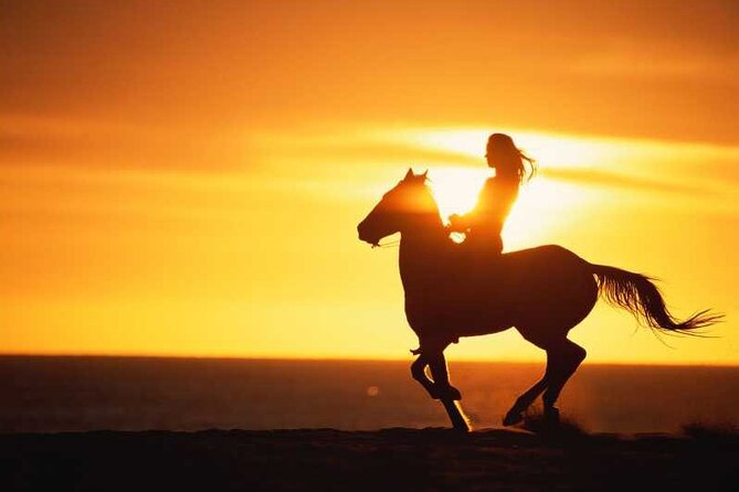 Agadir/Taghazout Horse Ride on the beach - Key points to know before you book