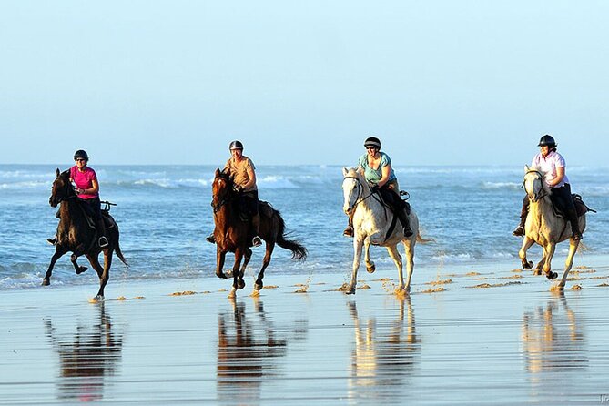 Agadir/Taghazout Horse Ride on the beach - Choosing a horse and getting comfortable