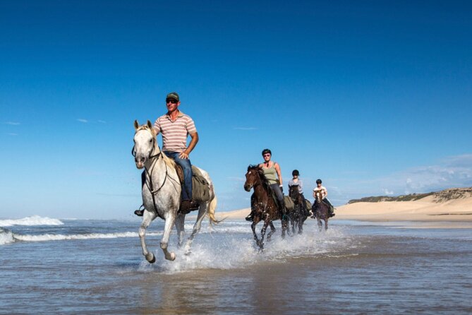Agadir/Taghazout Horse Ride on the beach - The route through open country to the beach