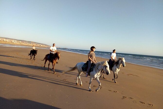 Agadir/Taghazout Horse Ride on the beach - Price and overall value at $30.20