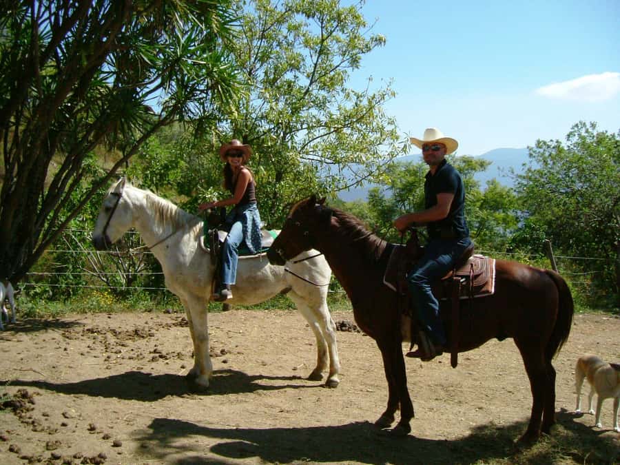 Agadir/Taghazout: Horse Rides Experience With Transfers - Key points to know before you book