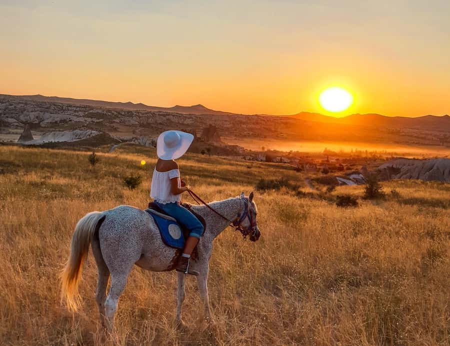 Agadir/Taghazout: Horse Rides Experience With Transfers - The route: open ground, river views, and flamingos