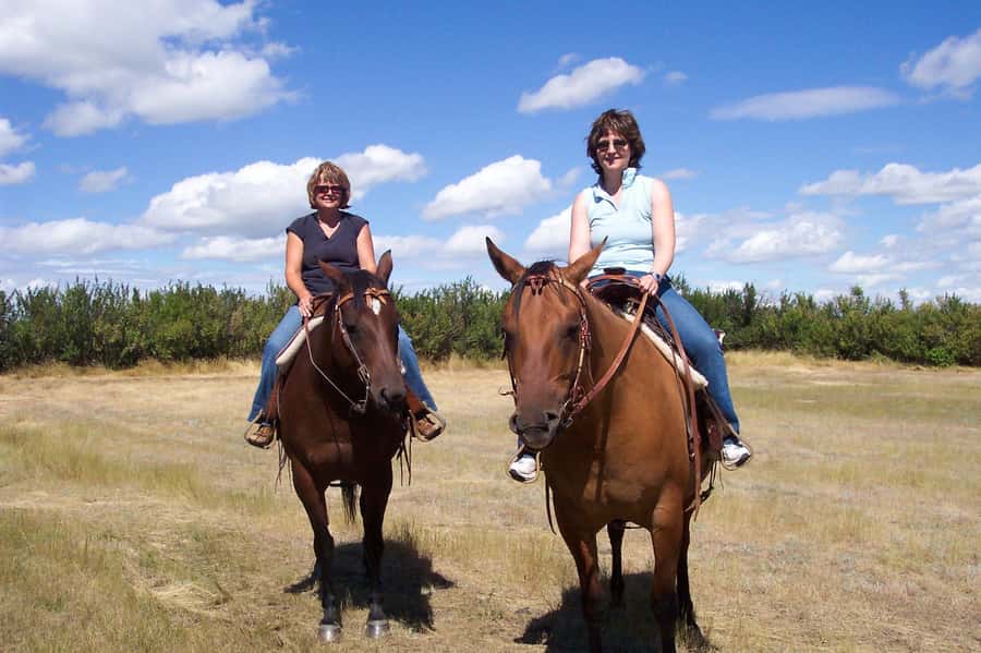 Agadir/Taghazout: Horse Rides Experience With Transfers - Riding pace and what beginners should expect
