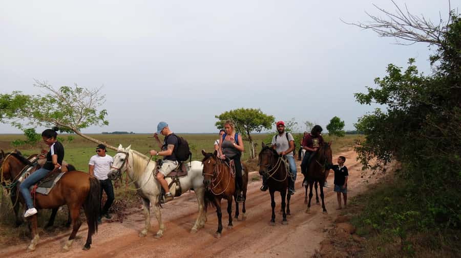 Agadir/Taghazout: Horse Rides Experience With Transfers - Is $23 good value?