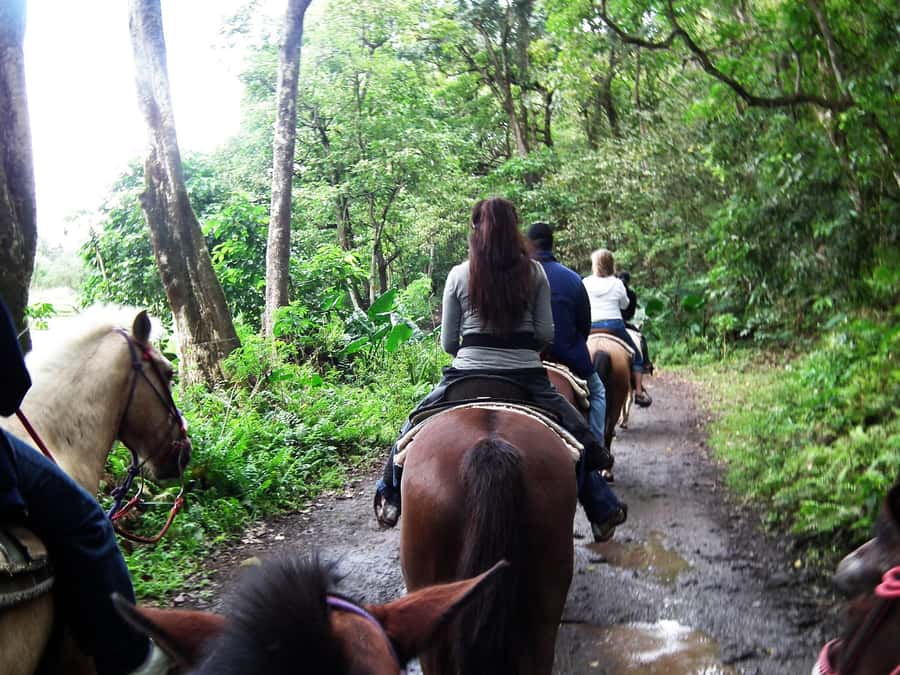 Agadir/Taghazout: Horse Rides Experience With Transfers - Hotel pickup makes a short outing easier