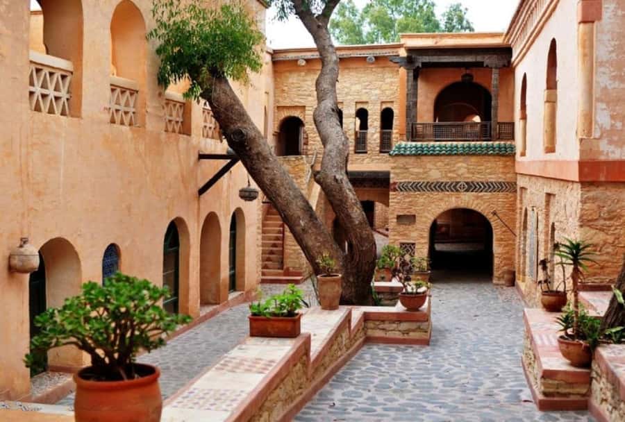 Agadir/Taghazout: Old Medina of Coco Polizzi and Agadir Tour - Argan oil: useful information, then a sales stop
