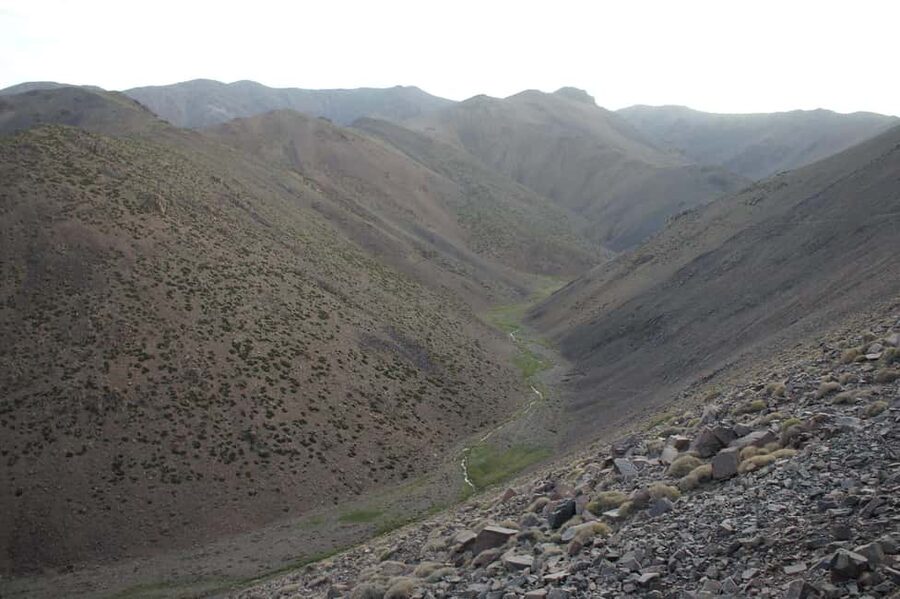 Agadir/Taghazout: Paradise Valley Atlas Mountains Trip - Guides, languages, and the feel of the day