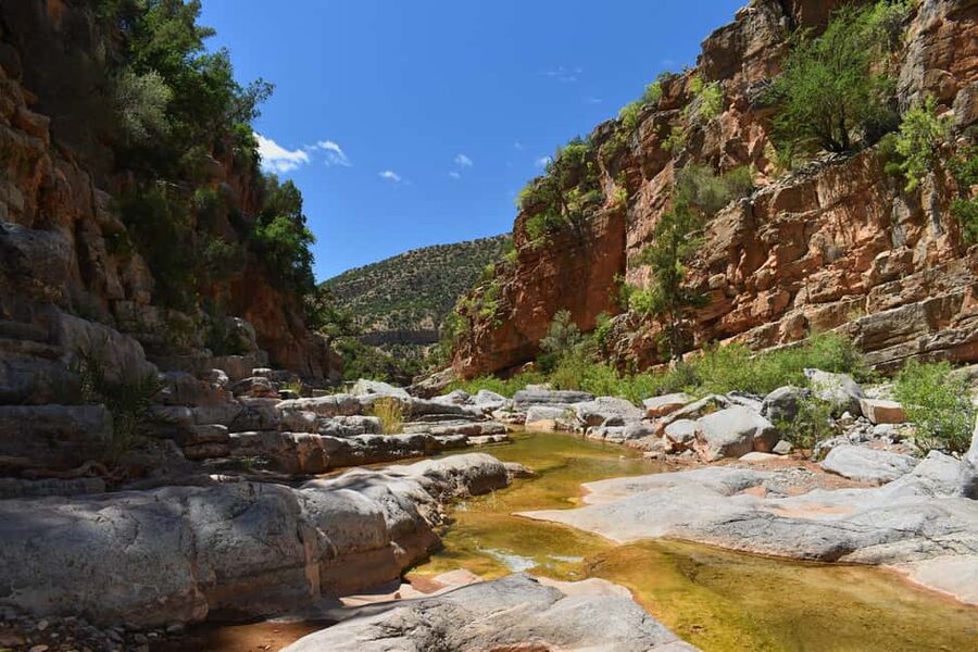 Agadir/Taghazout: Paradise Valley Atlas Mountains Trip - Who should book this outing?