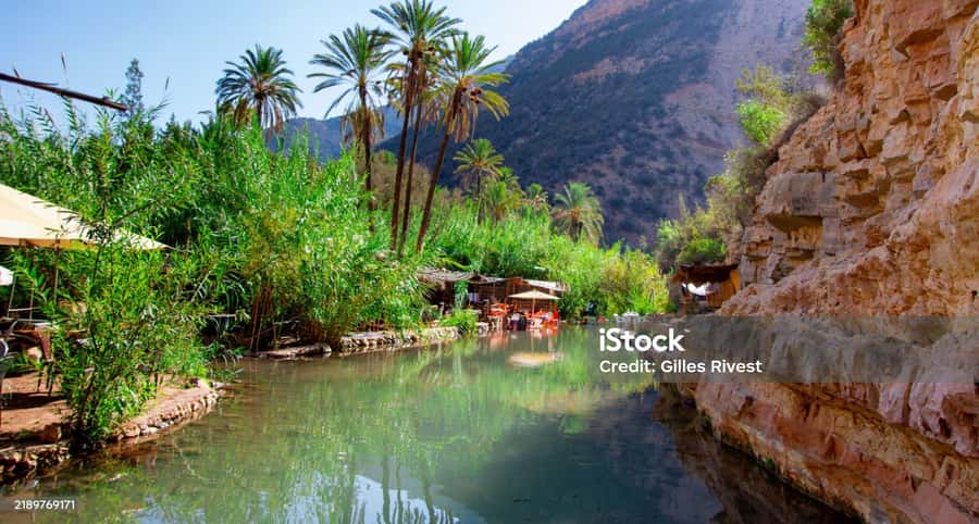 Agadir/Taghazout : Paradise Valley & Sandboarding with Lunch - Key points to know before booking