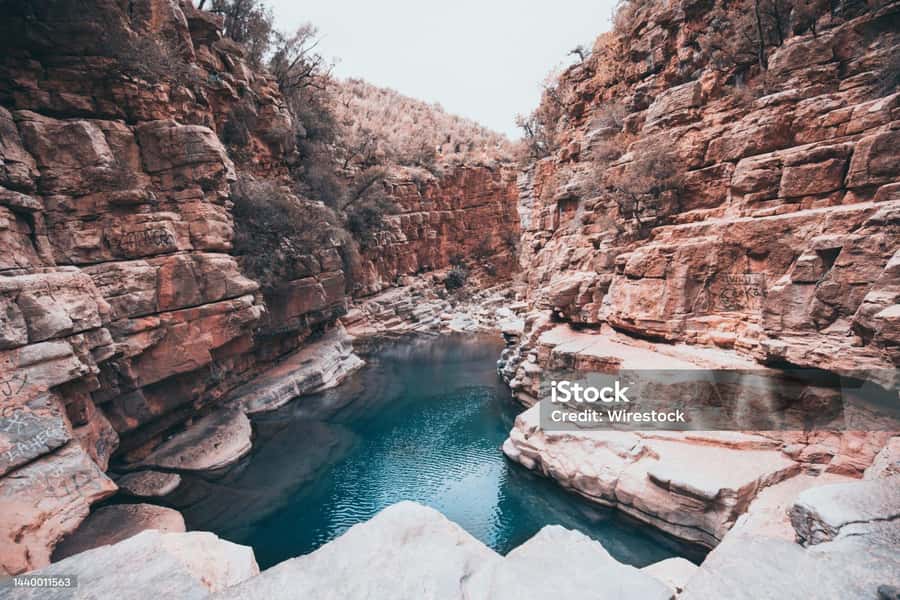 Agadir/Taghazout : Paradise Valley & Sandboarding with Lunch - From Agadir to the foothills of Paradise Valley