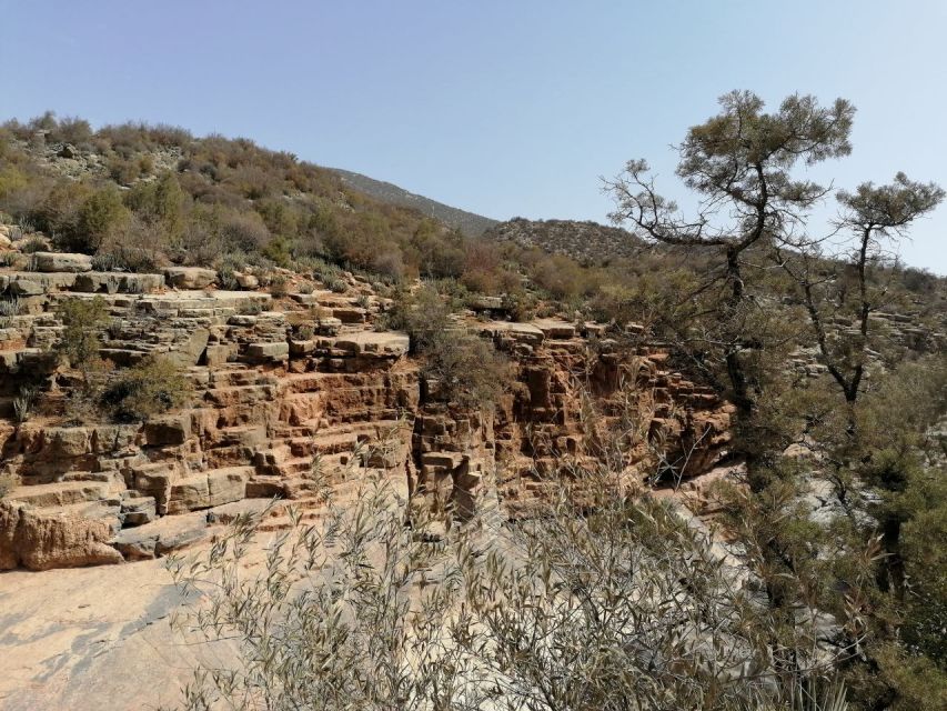 Agadir/Taghazout : Paradise Valley & Sandboarding with Lunch - How the guide affects the day