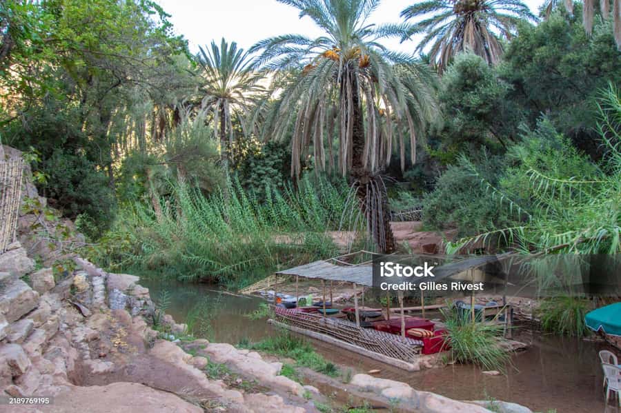 Agadir/Taghazout : Paradise Valley & Sandboarding with Lunch - Walking down to Paradise Valley’s natural pools