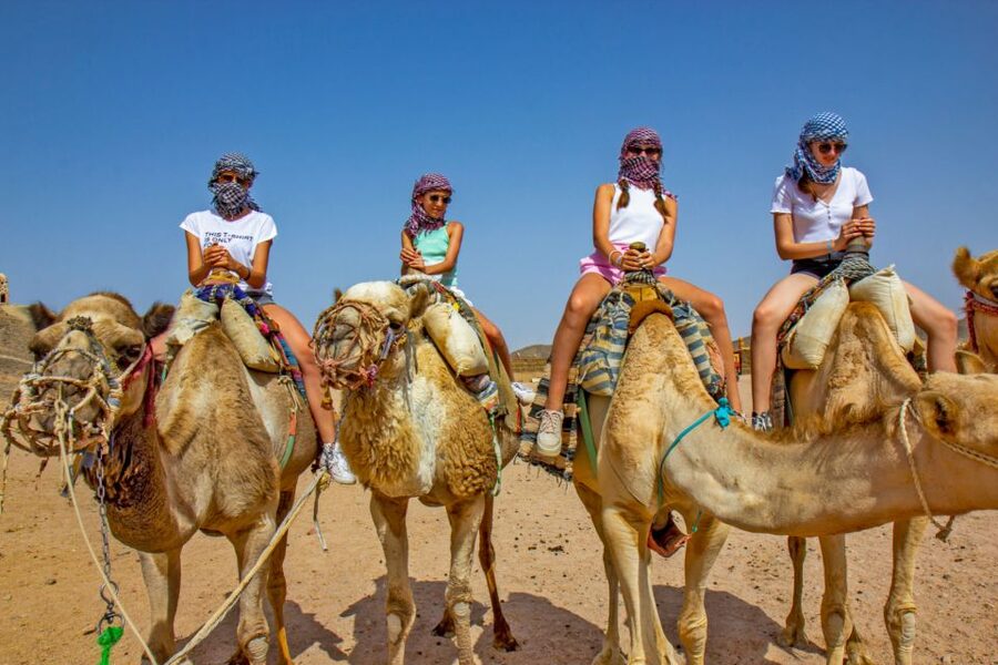 Agadir/Taghazout/Port: Camel Ride Tea & BBQ Option - Reaching the river mouth and looking for flamingos