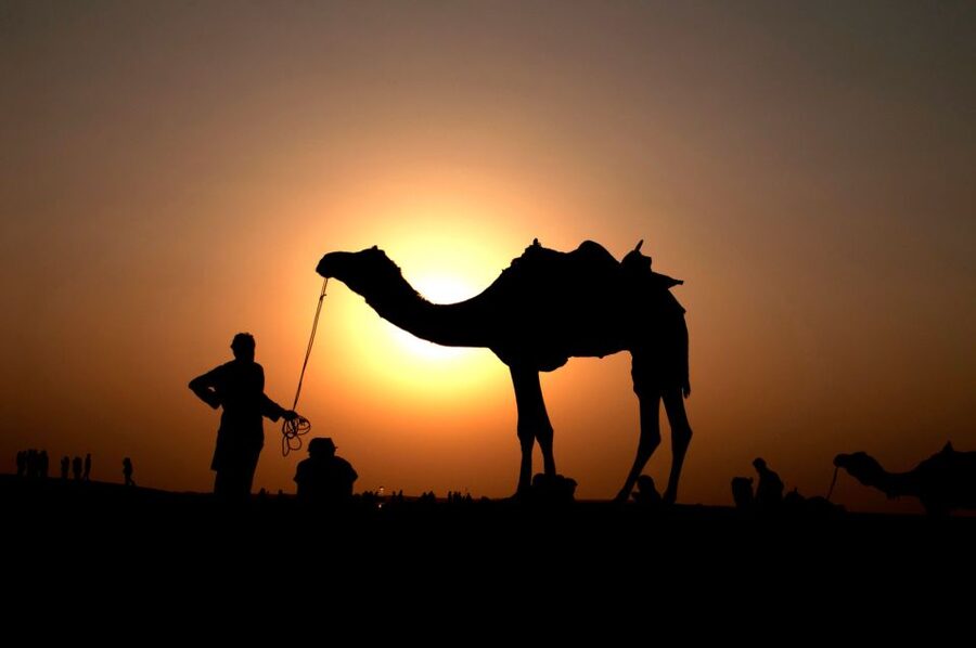 Agadir/Taghazout/Port: Camel Ride Tea & BBQ Option - What the $22 price really gives you