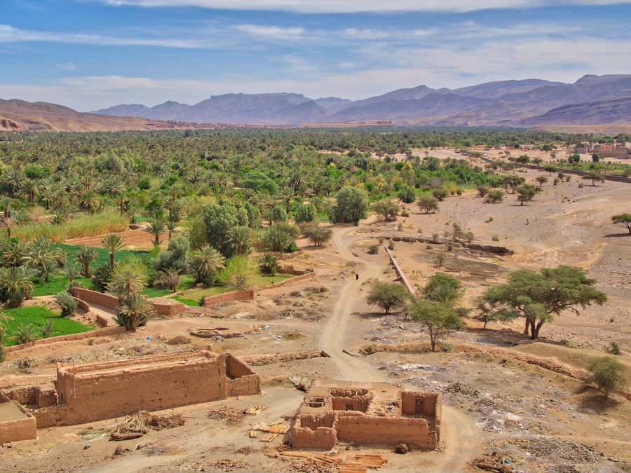 Agadir/Taghazout/Port: Paradise Valley Atlas Mountains Trip - Is $21 good value?