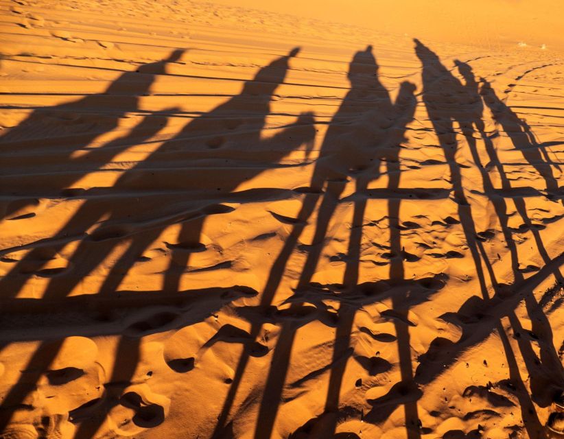 Agadir/Taghazout/Port: Sahara Desert 4x4 Day Trip with Lunch - Tifnit dunes and the short 4x4 adventure
