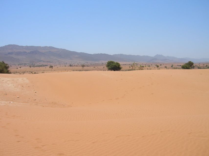 Agadir/Taghazout/Port: Sahara Desert 4x4 Day Trip with Lunch - Tiznit, the old silver center