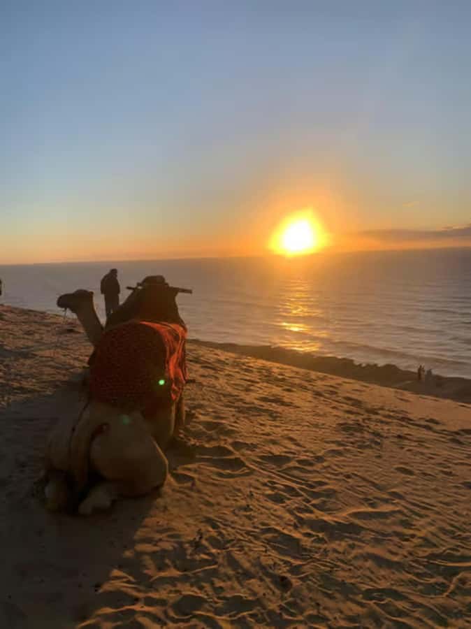 Agadir/Taghazout : Quad Bike & Camel Ride On The Beach - A slower hour on camelback