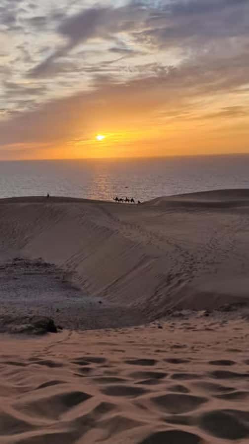 Agadir/Taghazout : Quad Bike & Camel Ride On The Beach - Guides, photos, and the human side of the outing