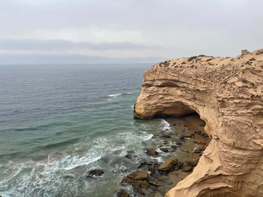 Agadir/Taghazout : Sandboarding & Sunset Camel Ride with BBQ - Camel riding as the sun drops