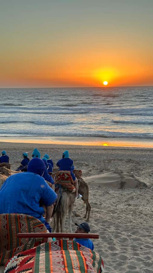 Agadir/Taghazout : Sandboarding & Sunset Camel Ride with BBQ - Guides, languages, and the feel of the outing