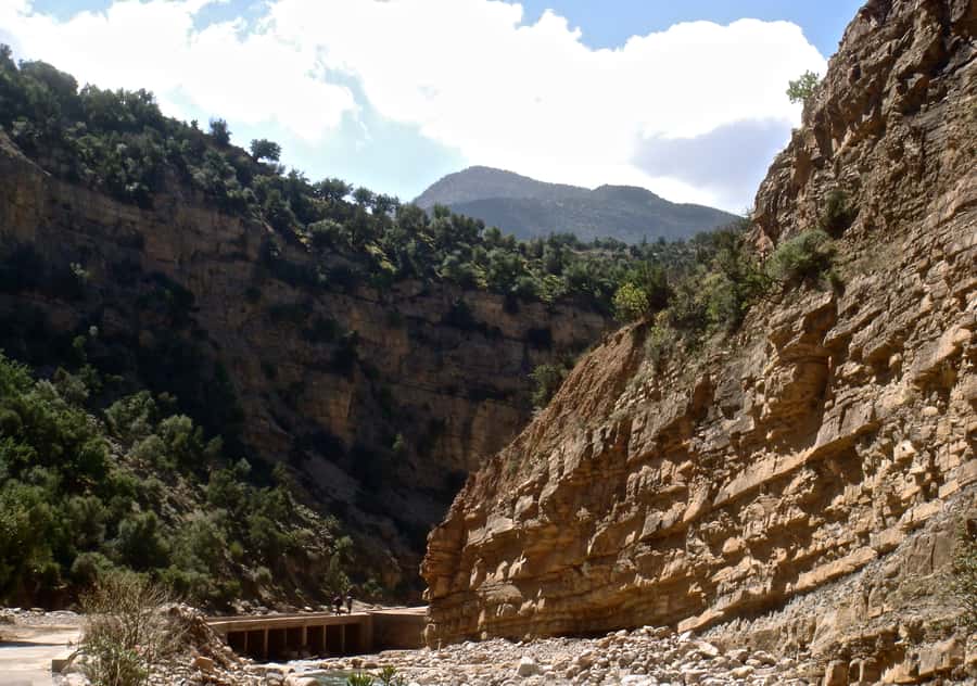 Agadir/Taghazout/Tamraght: Paradise Valley Best Tour - What the $20 price really buys you