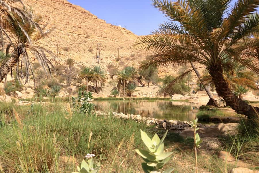Agadir/Taghazout/Tamraght: Paradise Valley Best Tour - What to pack for a comfortable visit