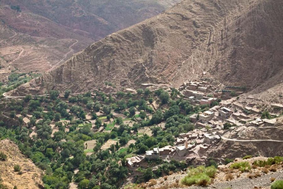 Agadir/Tamraght/Taghazout: Paradise Valley Atlas Tour - The panoramic stop between mountain and oasis