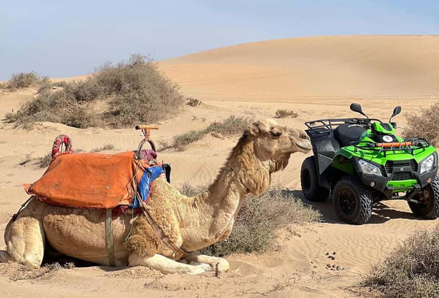 Agadir to Tifnit Desert: Quad Biking Tour with Sandboarding - Practical advice for a smoother outing