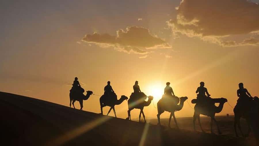 Agafay and atlas: Quad and camel experience - How to get the most from the day