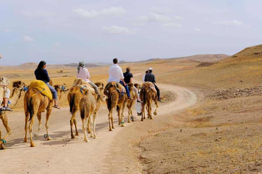 Agafay and atlas: Quad and camel experience - The camel ride slows the day down