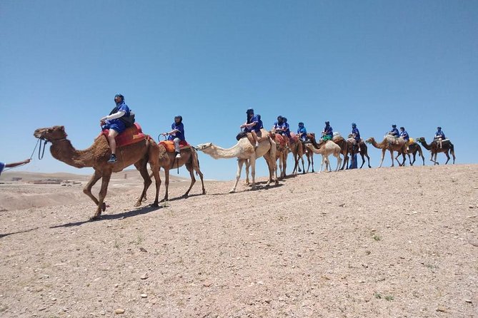 Agafay camel ride - Key points to know before you book