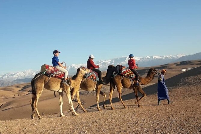 Agafay camel ride - What the three-hour schedule really gives you