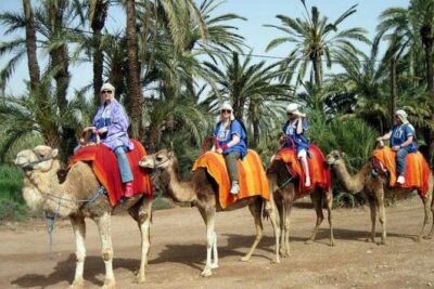 Agafay Desert Adventure, Culture, and Relaxation, From Marrakech