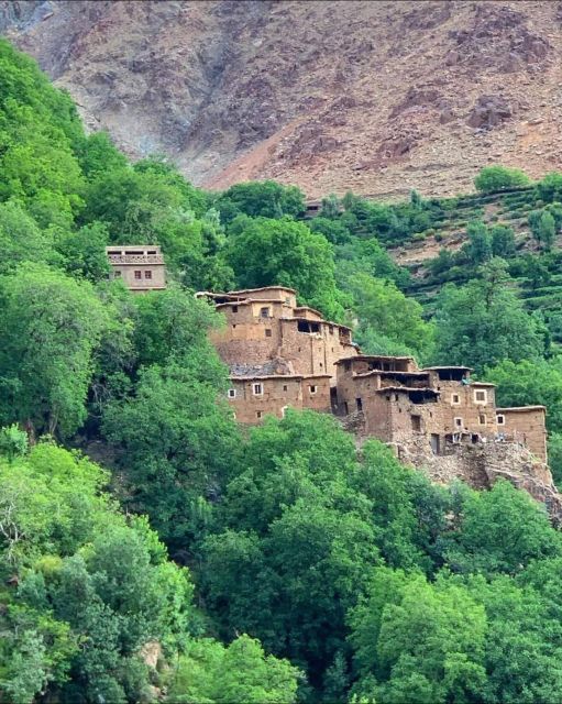 Agafay Desert & Atlas Mountain & Camel Ride Day Trip & Lunch - Who should book this Atlas Mountains day trip?