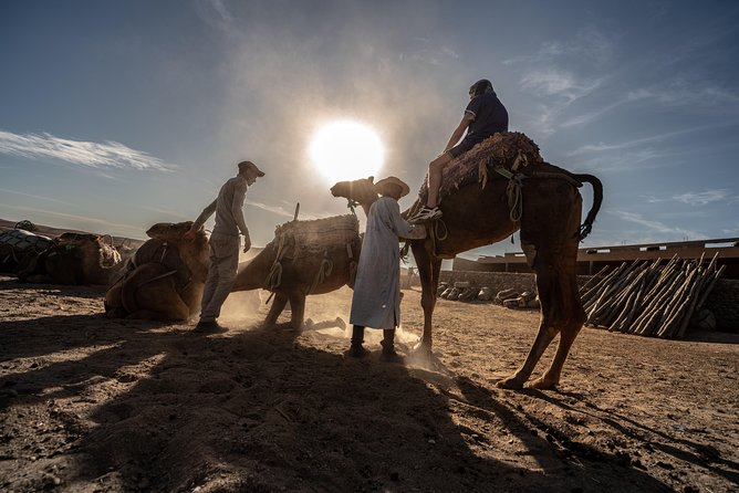 Agafay Desert Camel Experience with snack from Marrakech - What the camel ride is really like