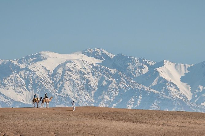 Agafay Desert Camel Experience with snack from Marrakech - Starting at an oasis instead of a roadside stop