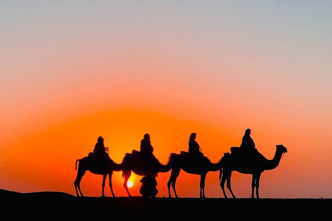 Agafay Desert Camel Ride with Dinner - Key points to know before booking