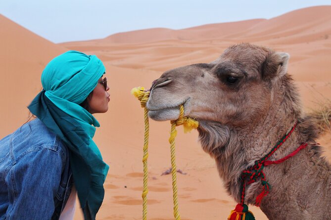 Agafay Desert Camel riding with sunset and dinner and berber show - Moroccan dinner at the desert camp