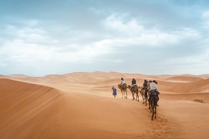 Agafay Desert Camel riding with sunset and dinner and berber show - What $23.23 really gets you