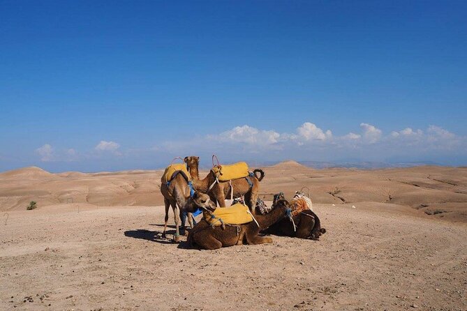 Agafay Desert Day Trip From Marrakech - Dinner and entertainment turn a ride into an evening show
