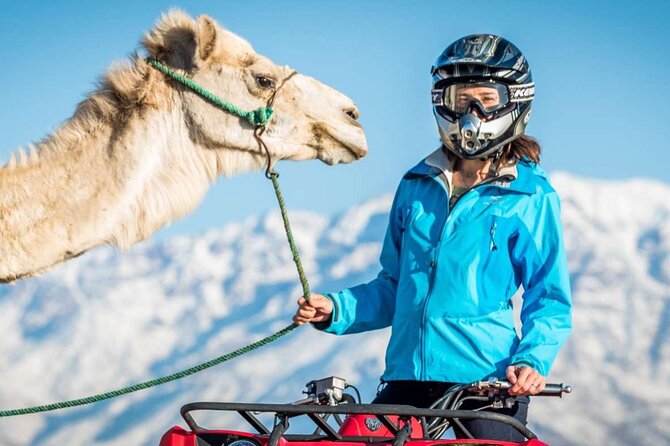 Agafay Desert Package, Quad Bike, Camel Ride and Dinner Show - Key points to know before you book