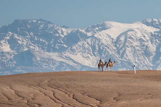 Agafay Desert Package, Quad Bike, Camel Ride and Dinner Show - What the $37 price really buys you