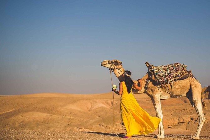 Agafay Desert Package, Quad Bike, Camel Ride and Dinner Show - Who will enjoy this Agafay outing most