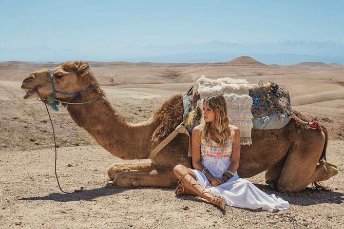 Agafay Desert Package, Quad Bike, Camel Ride and Dinner Show - Practical tips for a smoother afternoon